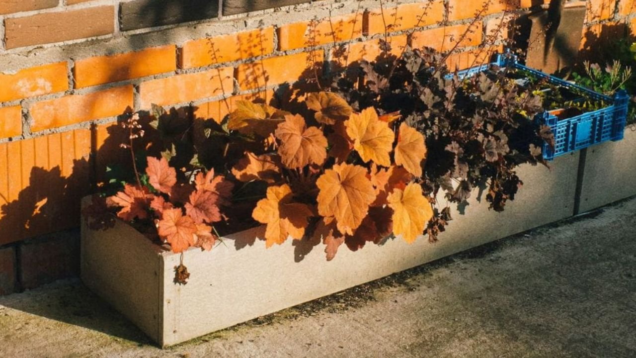 Étanchéité d’une jardinière en parpaing