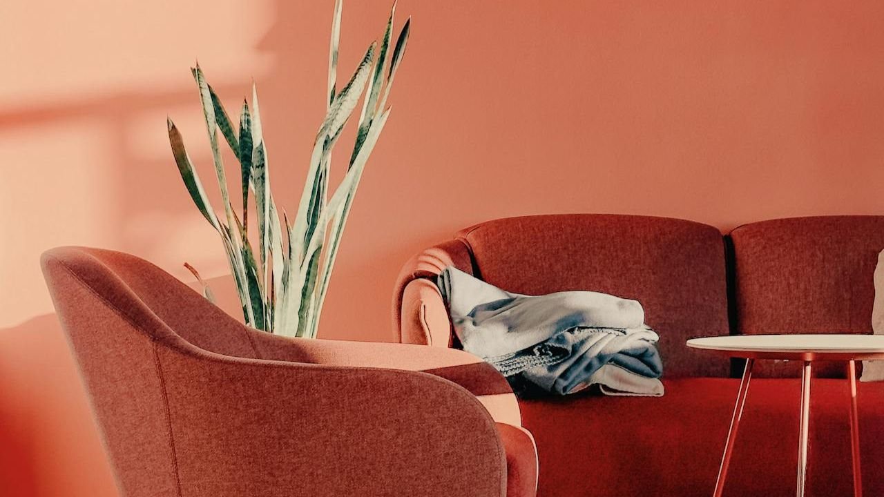 Couleur fauve