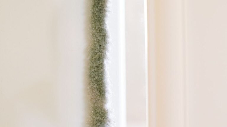 Joint brosse pour une porte coulissante